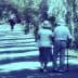 An elderly couple walking together on a tree-lined path, both wearing hats and holding hands. - Olive Oil Times