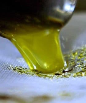 Stream of green olive oil pouring from a metal spout onto a surface. - Olive Oil Times