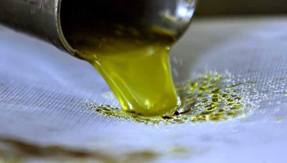 Stream of green olive oil pouring from a metal spout onto a surface. - Olive Oil Times
