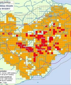 Map showing prospection zones for Xylella Fastidiosa in Alicante with color-coded areas. - Olive Oil Times