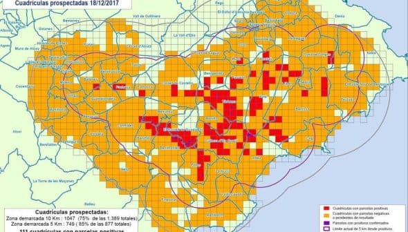 Map showing prospection zones for Xylella Fastidiosa in Alicante with color-coded areas. - Olive Oil Times
