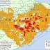 Map showing prospection zones for Xylella Fastidiosa in Alicante with color-coded areas. - Olive Oil Times