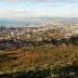 Aerial view of Cape Town with the coastline and mountains in the background. - Olive Oil Times