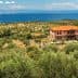 A house surrounded by olive trees on a hillside with a view of the sea in the background. - Olive Oil Times