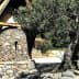 A stone building with a sloped roof next to a large olive tree. - Olive Oil Times