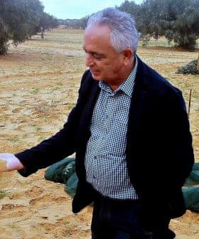 Man in a black jacket holding sand in his hand in an olive grove with a woman in the background. - Olive Oil Times