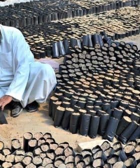 Two men preparing seedling pots filled with soil in a garden setting. - Olive Oil Times