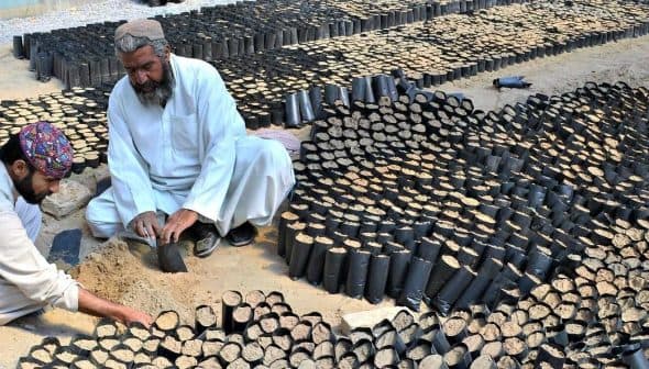 Two men preparing seedling pots filled with soil in a garden setting. - Olive Oil Times