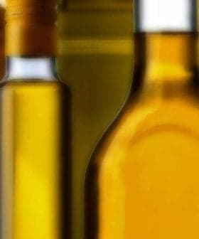 Collection of different oil bottles in various shapes and colors arranged together. - Olive Oil Times