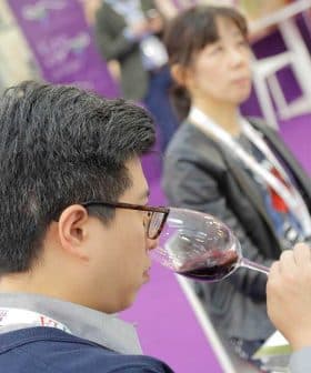 Individual holding a wine glass and tasting red wine at a gathering with others in the background. - Olive Oil Times