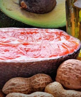 Raw salmon fillet placed on a wooden board alongside avocado, nuts, and olive oil. - Olive Oil Times