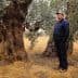 A man in a blue jacket standing beside a large olive tree in an outdoor setting. - Olive Oil Times