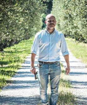 A man walking along a gravel path in an olive grove surrounded by trees. - Olive Oil Times
