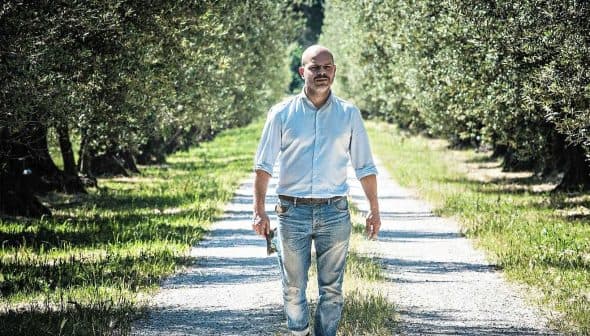 A man walking along a gravel path in an olive grove surrounded by trees. - Olive Oil Times