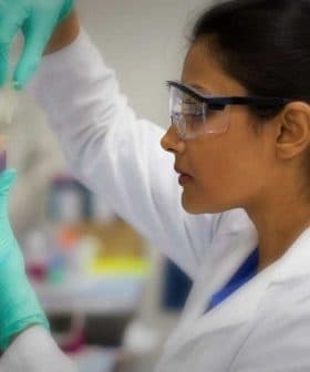 Female scientist in a lab coat and gloves handling samples in a laboratory setting. - Olive Oil Times