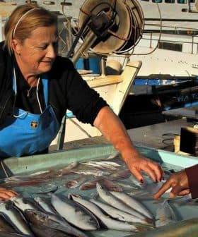 A woman in an apron selling fish at a market while a man points at the fish on display. - Olive Oil Times