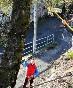 Individuals participating in the olive harvesting process using tools to collect olives from trees. - Olive Oil Times