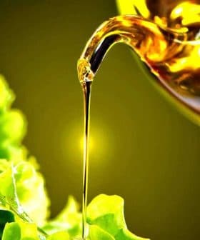 Olive oil being poured from a bottle onto fresh lettuce and cucumber slices. - Olive Oil Times