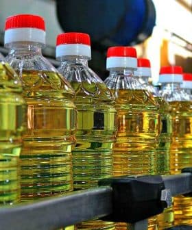 Row of plastic bottles filled with cooking oil on a production line in a factory setting. - Olive Oil Times