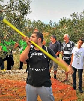 Group of people observing an olive harvesting demonstration with a worker using a pole. - Olive Oil Times