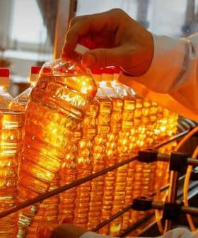 A person holding a bottle of cooking oil on a production line with multiple bottles in the background. - Olive Oil Times