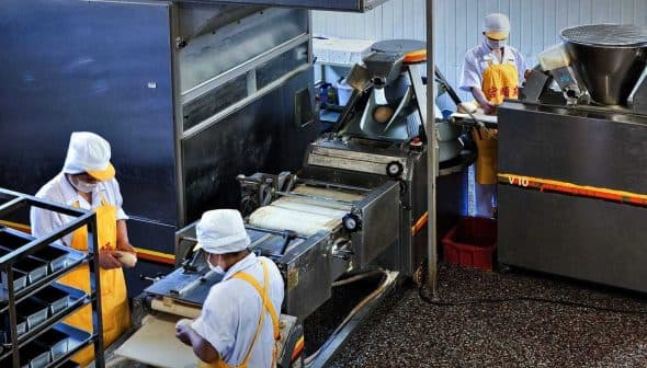 Workers operating food processing machinery in a factory setting with various equipment. - Olive Oil Times