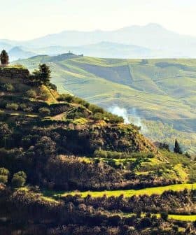 A landscape featuring rolling green hills and terraced agricultural fields under a clear sky. - Olive Oil Times