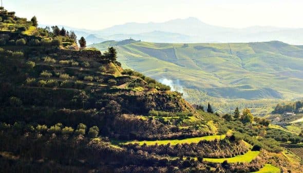 A landscape featuring rolling green hills and terraced agricultural fields under a clear sky. - Olive Oil Times