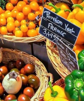 A display of various fresh vegetables and fruits including peppers, tomatoes, and eggplants in baskets. - Olive Oil Times