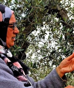 Woman wearing a hijab and glasses standing near an olive tree, gesturing with her hands. - Olive Oil Times