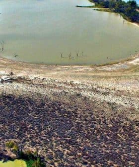 Aerial image showing a dry lakebed with patches of green vegetation and a winding waterway. - Olive Oil Times