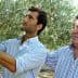 Two men inspecting olive branches during an olive harvest in an orchard. - Olive Oil Times