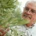 Man examining an olive tree branch with green olives in a natural setting. - Olive Oil Times