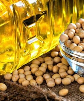 Transparent bottle of cooking oil next to a bowl of soybeans on a burlap surface. - Olive Oil Times