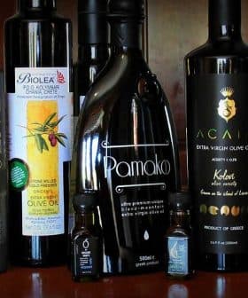Various bottles of olive oil displayed on a shelf, featuring different brands and designs. - Olive Oil Times
