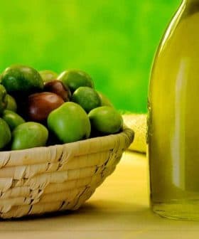 A basket filled with green and brown olives next to a bottle of olive oil on a table. - Olive Oil Times