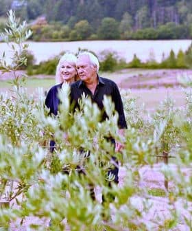 A couple standing together among young olive trees in a field. - Olive Oil Times