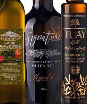 Assorted olive oil bottles displayed in a row with different labels and designs. - Olive Oil Times