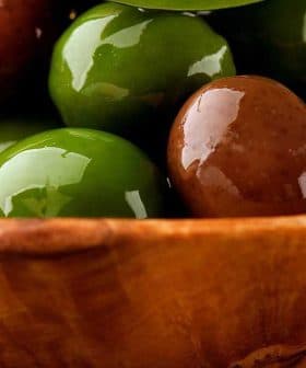 A wooden bowl filled with a variety of green and brown olives resting in oil. - Olive Oil Times