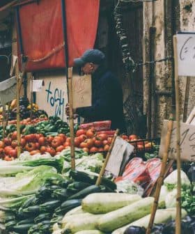 Market stall displaying various vegetables and fruits, including tomatoes, cucumbers, and leafy greens. - Olive Oil Times