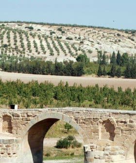 A stone bridge with three arches spanning over a river, surrounded by olive trees on a hillside. - Olive Oil Times