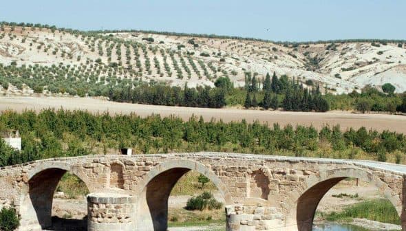 A stone bridge with three arches spanning over a river, surrounded by olive trees on a hillside. - Olive Oil Times