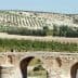 A stone bridge with three arches spanning over a river, surrounded by olive trees on a hillside. - Olive Oil Times