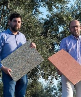 Two men standing outdoors holding samples of textured materials in front of an olive tree. - Olive Oil Times