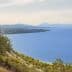 Scenic view of a coastline with olive trees and a blue sea under a clear sky. - Olive Oil Times