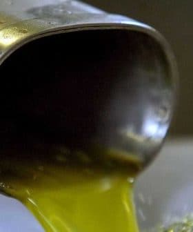 Stream of olive oil pouring from a metal spout into a container during production. - Olive Oil Times