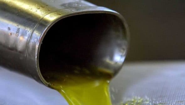 Stream of olive oil pouring from a metal spout into a container during production. - Olive Oil Times