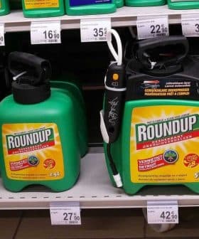 Various containers of Roundup weed killer displayed on a store shelf with price tags. - Olive Oil Times