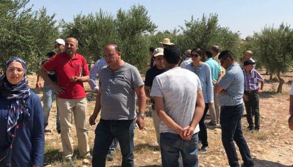A group of people gathered in an olive grove, observing and discussing among themselves. - Olive Oil Times