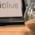 A glass bowl filled with small beige seeds placed on a wooden surface near a Biolive sign. - Olive Oil Times